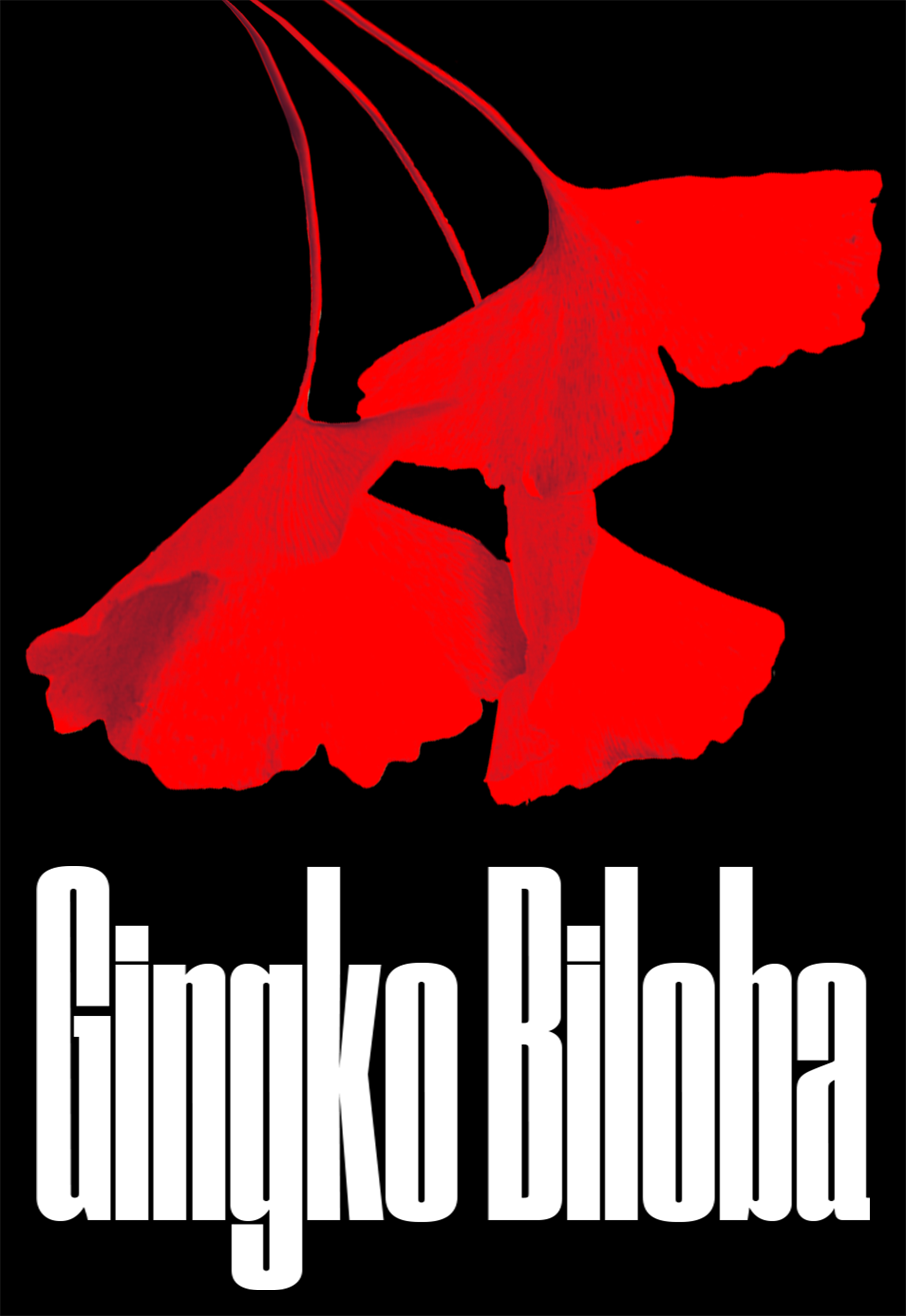 Gingko Godfather poster